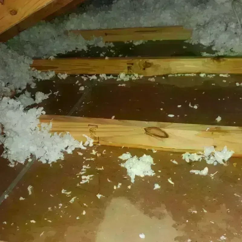 Attic Water Damage in Naples, UT