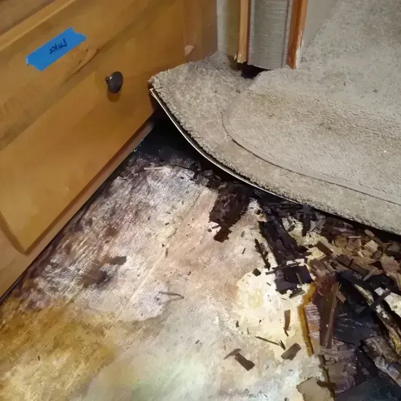 Best Wood Floor Water Damage Service in Naples, UT